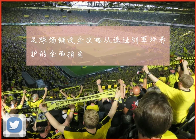 足球场铺设全攻略从选址到草坪养护的全面指南