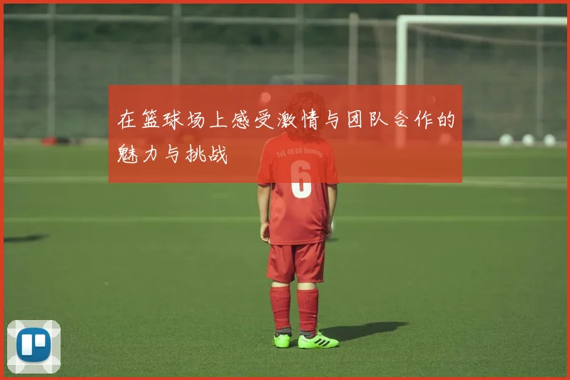 在篮球场上感受激情与团队合作的魅力与挑战