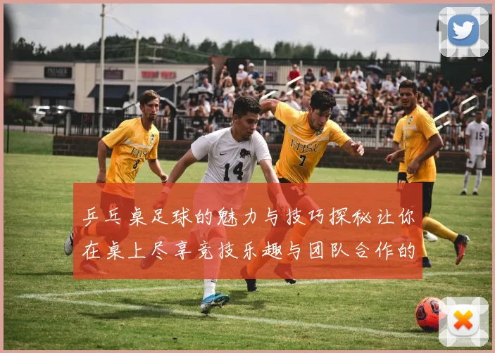 乒乓桌足球的魅力与技巧探秘让你在桌上尽享竞技乐趣与团队合作的双重体验