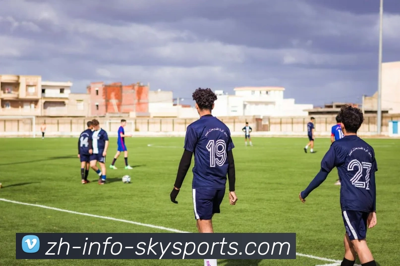 星空体育APP 封面图